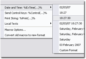 %ExTime(..)% Macros menu. Paste current date and time in any format